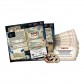 This War of Mine: Tales from the Ruined City